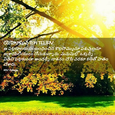Picture 02 - యెహోషువ 11:14 TELIRV - ఆ పట్టణాలకు - Bible Verse Picture