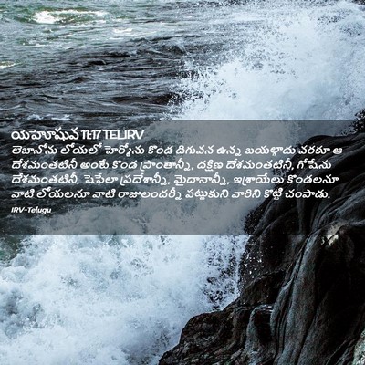 Picture 02 - యెహోషువ 11:17 TELIRV - లెబానోను లోయలో - Bible Verse Picture