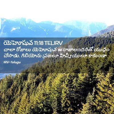 Picture 02 - యెహోషువ 11:18 TELIRV - చాలా రోజులు - Bible Verse Picture