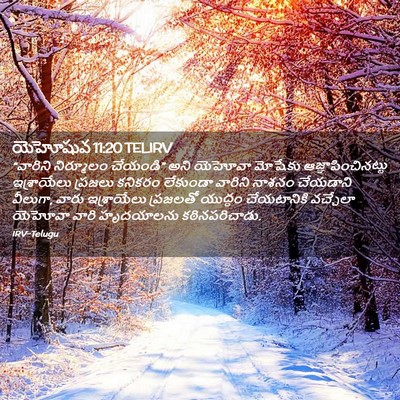 Picture 02 - యెహోషువ 11:20 TELIRV - “వారిని నిర్మూలం - Bible Verse Picture