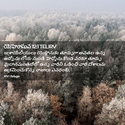 Picture 02 - యెహోషువ 12:1 TELIRV - ఇశ్రాయేలీయులు - Bible Verse Picture