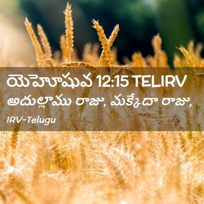 Picture 02 - యెహోషువ 12:15 TELIRV - అదుల్లాము రాజు, - Bible Verse Picture