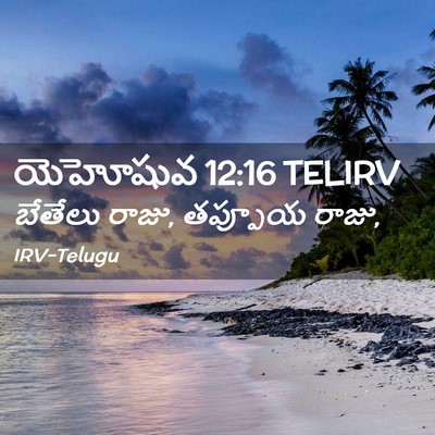Picture 02 - యెహోషువ 12:16 TELIRV - బేతేలు రాజు, - Bible Verse Picture