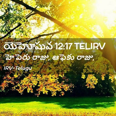 Picture 02 - యెహోషువ 12:17 TELIRV - హెపెరు రాజు, ఆఫెకు - Bible Verse Picture