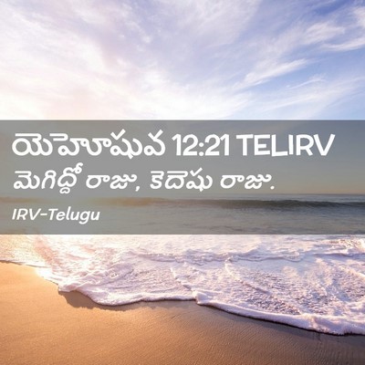 Picture 02 - యెహోషువ 12:21 TELIRV - మెగిద్దో రాజు, - Bible Verse Picture