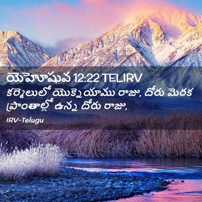 Picture 02 - యెహోషువ 12:22 TELIRV - కర్మెలులో - Bible Verse Picture