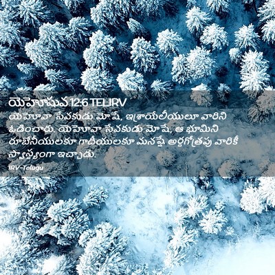 Picture 02 - యెహోషువ 12:6 TELIRV - యెహోవా సేవకుడు - Bible Verse Picture