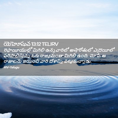 Picture 02 - యెహోషువ 13:12 TELIRV - రెఫాయీయుల్లో - Bible Verse Picture