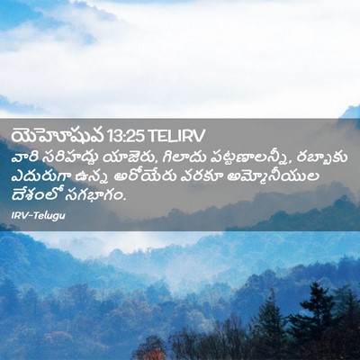 Picture 02 - యెహోషువ 13:25 TELIRV - వారి సరిహద్దు - Bible Verse Picture
