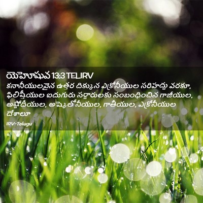 Picture 02 - యెహోషువ 13:3 TELIRV - కనానీయులవైన ఉత్తర - Bible Verse Picture