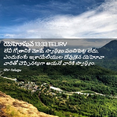 Picture 02 - యెహోషువ 13:33 TELIRV - లేవీ గోత్రానికి - Bible Verse Picture
