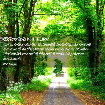 Picture 02 - యెహోషువ 14:11 TELIRV - మోషే నన్ను యుద్ధం - Bible Verse Picture