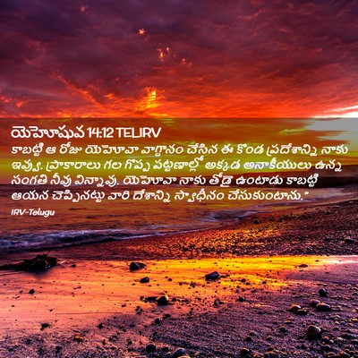 Picture 02 - యెహోషువ 14:12 TELIRV - కాబట్టి ఆ రోజు - Bible Verse Picture