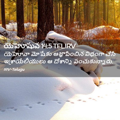Picture 02 - యెహోషువ 14:5 TELIRV - యెహోవా మోషేకు - Bible Verse Picture