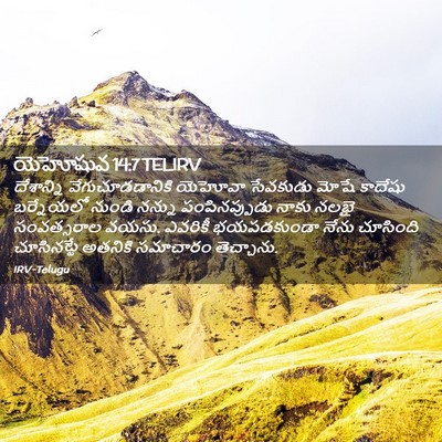 Picture 02 - యెహోషువ 14:7 TELIRV - దేశాన్ని - Bible Verse Picture