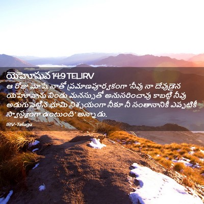 Picture 02 - యెహోషువ 14:9 TELIRV - ఆ రోజు మోషే నాతో - Bible Verse Picture