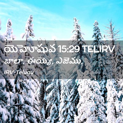 Picture 02 - యెహోషువ 15:29 TELIRV - బాలా, ఈయ్యె, - Bible Verse Picture