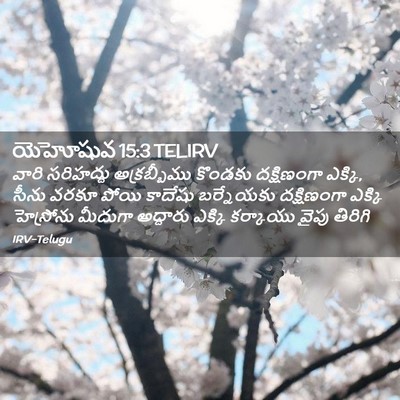Picture 02 - యెహోషువ 15:3 TELIRV - వారి సరిహద్దు - Bible Verse Picture