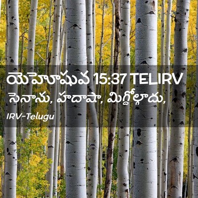 Picture 02 - యెహోషువ 15:37 TELIRV - సెనాను, హదాషా, - Bible Verse Picture