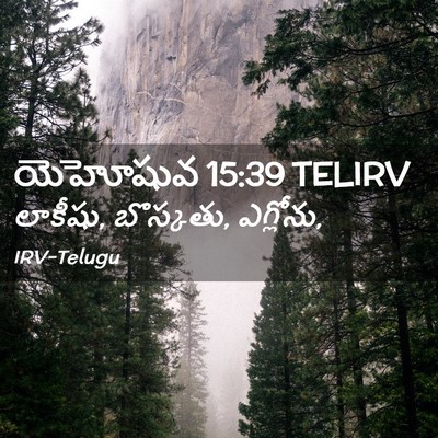 Picture 02 - యెహోషువ 15:39 TELIRV - లాకీషు, బొస్కతు, - Bible Verse Picture