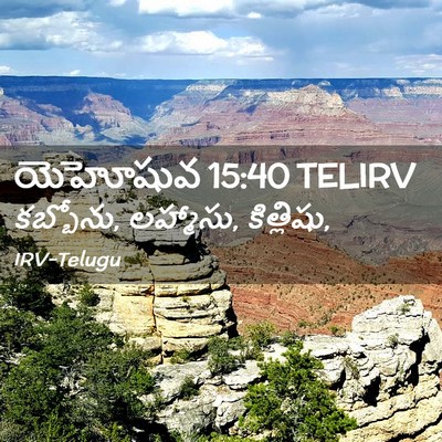 Picture 02 - యెహోషువ 15:40 TELIRV - కబ్బోను, లహ్మాసు, - Bible Verse Picture
