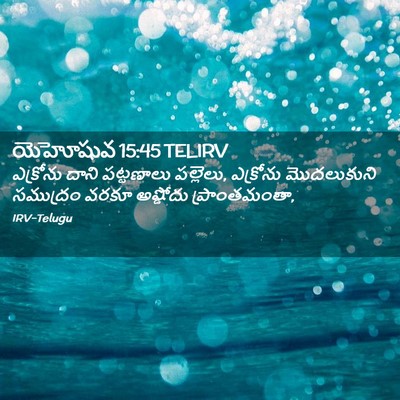 Picture 02 - యెహోషువ 15:45 TELIRV - ఎక్రోను దాని - Bible Verse Picture