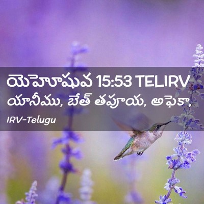 Picture 02 - యెహోషువ 15:53 TELIRV - యానీము, బేత్ తపూయ, - Bible Verse Picture