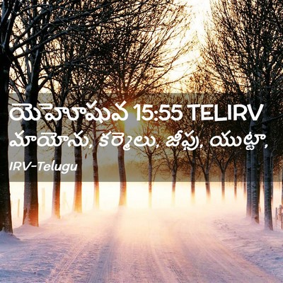 Picture 02 - యెహోషువ 15:55 TELIRV - మాయోను, కర్మెలు, - Bible Verse Picture