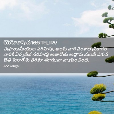 Picture 02 - యెహోషువ 16:5 TELIRV - ఎఫ్రాయిమీయుల - Bible Verse Picture