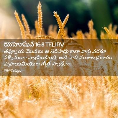 Picture 02 - యెహోషువ 16:8 TELIRV - తప్పూయ మొదలు ఆ - Bible Verse Picture