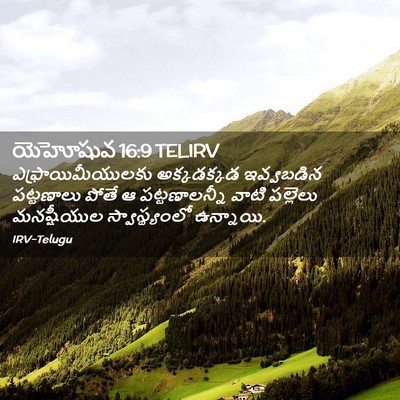 Picture 02 - యెహోషువ 16:9 TELIRV - ఎఫ్రాయిమీయులకు - Bible Verse Picture