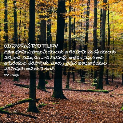 Picture 02 - యెహోషువ 17:10 TELIRV - దక్షిణ భూమి - Bible Verse Picture