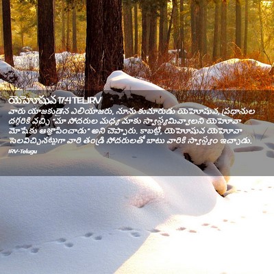 Picture 02 - యెహోషువ 17:4 TELIRV - వారు యాజకుడైన - Bible Verse Picture