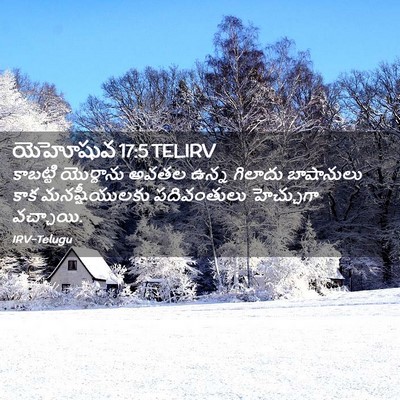 Picture 02 - యెహోషువ 17:5 TELIRV - కాబట్టి యొర్దాను - Bible Verse Picture