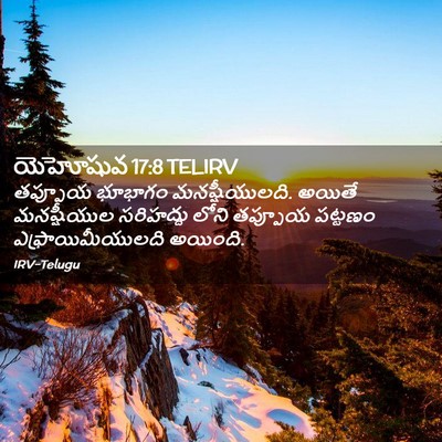 Picture 02 - యెహోషువ 17:8 TELIRV - తప్పూయ భూభాగం - Bible Verse Picture