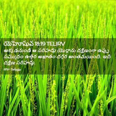 Picture 02 - యెహోషువ 18:19 TELIRV - అక్కడనుండి ఆ - Bible Verse Picture