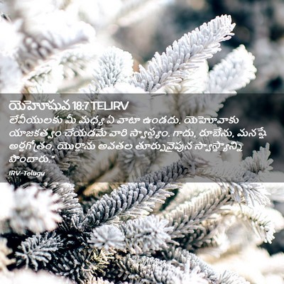 Picture 02 - యెహోషువ 18:7 TELIRV - లేవీయులకు మీ మధ్య - Bible Verse Picture