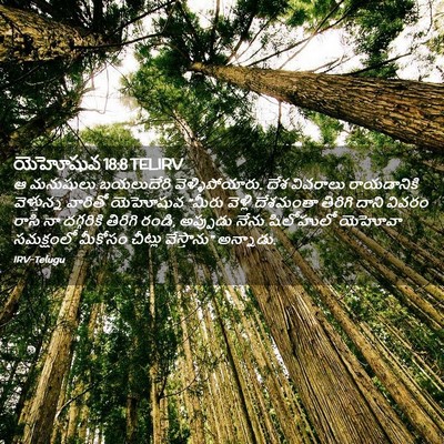 Picture 02 - యెహోషువ 18:8 TELIRV - ఆ మనుషులు - Bible Verse Picture