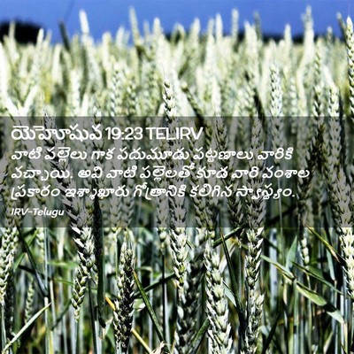 Picture 02 - యెహోషువ 19:23 TELIRV - వాటి పల్లెలు గాక - Bible Verse Picture