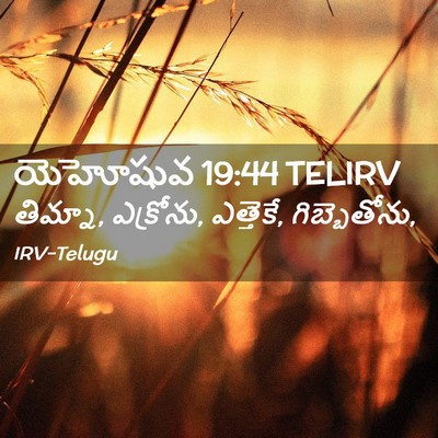 Picture 02 - యెహోషువ 19:44 TELIRV - తిమ్నా, ఎక్రోను, - Bible Verse Picture