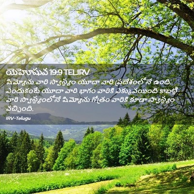 Picture 02 - యెహోషువ 19:9 TELIRV - షిమ్యోను వారి - Bible Verse Picture