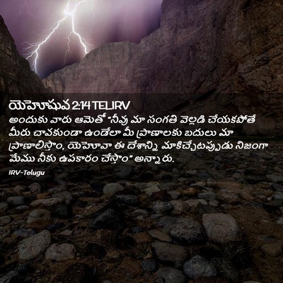 Picture 02 - యెహోషువ 2:14 TELIRV - అందుకు వారు ఆమెతో - Bible Verse Picture