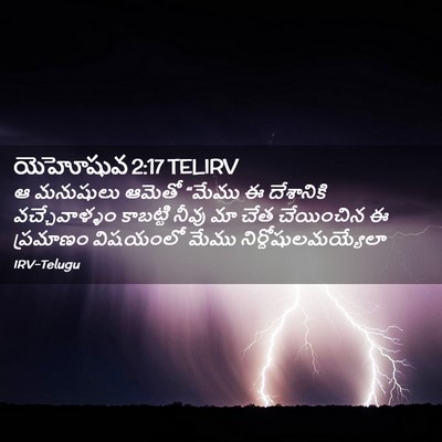 Picture 02 - యెహోషువ 2:17 TELIRV - ఆ మనుషులు ఆమెతో - Bible Verse Picture