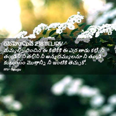 Picture 02 - యెహోషువ 2:18 TELIRV - మమ్మల్ని దించిన ఈ - Bible Verse Picture