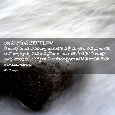 Picture 02 - యెహోషువ 2:19 TELIRV - నీ ఇంట్లోనుండి - Bible Verse Picture