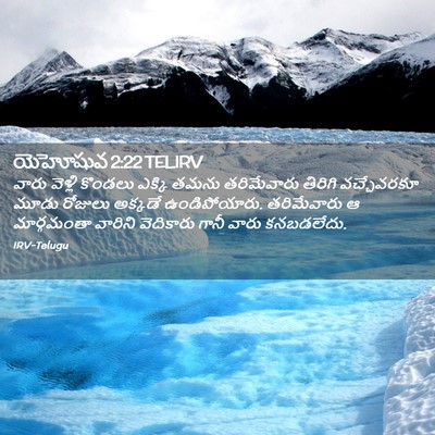 Picture 02 - యెహోషువ 2:22 TELIRV - వారు వెళ్లి - Bible Verse Picture