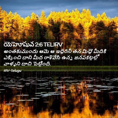 Picture 02 - యెహోషువ 2:6 TELIRV - అంతకుముందు ఆమె ఆ - Bible Verse Picture