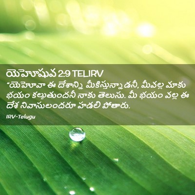 Picture 02 - యెహోషువ 2:9 TELIRV - “యెహోవా ఈ - Bible Verse Picture