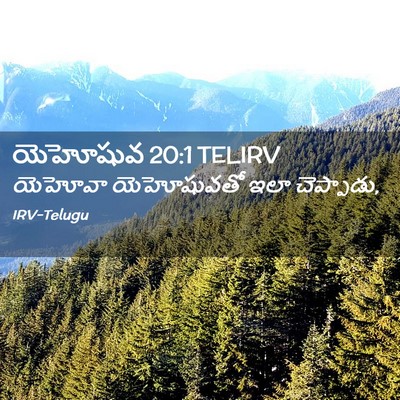Picture 02 - యెహోషువ 20:1 TELIRV - యెహోవా యెహోషువతో - Bible Verse Picture