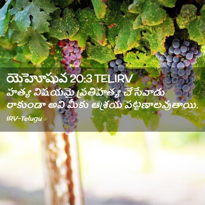 Picture 02 - యెహోషువ 20:3 TELIRV - హత్య విషయమై - Bible Verse Picture